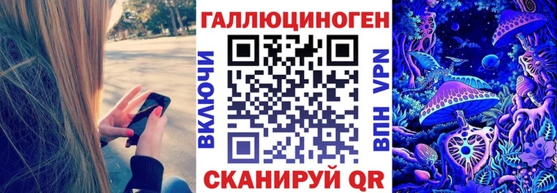 Псилоцибиновые грибы Cubensis  Реутов 