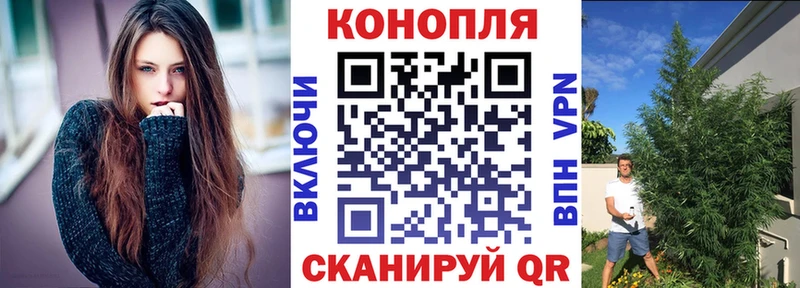 Каннабис Amnesia Реутов