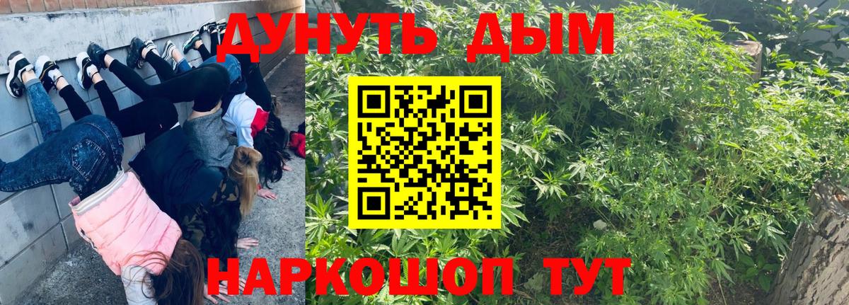 Конопля план  МАРИХУАНА планчик  Вход с VPN  Реутов 